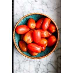 polikala pomidorki koktajlowe bio pomidory z grecji z krety ekologiczne oliwa z krety