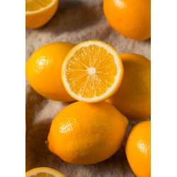 Pomarańczowe Cytryny z...