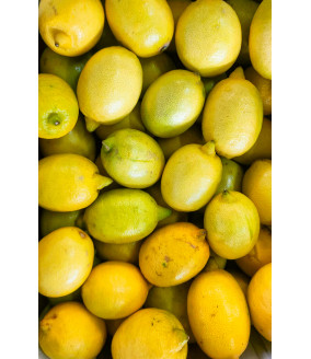 Cytryny z Krety, cytryny z Grecji, greckie cytryny, polikala, oliwa z Krety