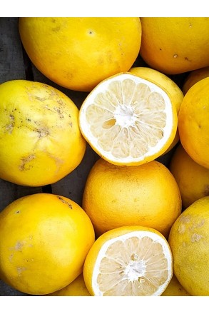 grejpfrut biały marsh polikala grejfruty cytrusy z Krety od rolnika ekologiczne cyrtusy grejfpfruty