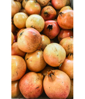 granaty eversewwt z krety polikala poli kala bio ekologiczne granaty granat owoc granatu z Krety z Grecji