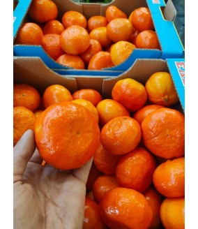 mandarynki polikala mandarynki z krety z grecji ekologiczne mandarynki klementynki bio mandarynki poli kala