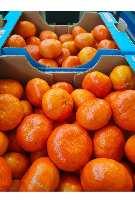 mandarynki polikala mandarynki z krety z grecji ekologiczne mandarynki klementynki bio mandarynki poli kala