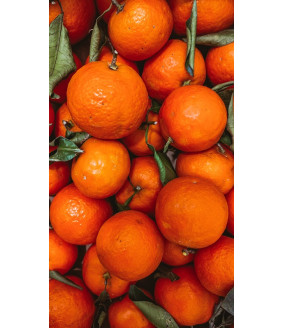 mandarynki polikala mandarynki z krety z grecji ekologiczne mandarynki klementynki bio mandarynki poli kala