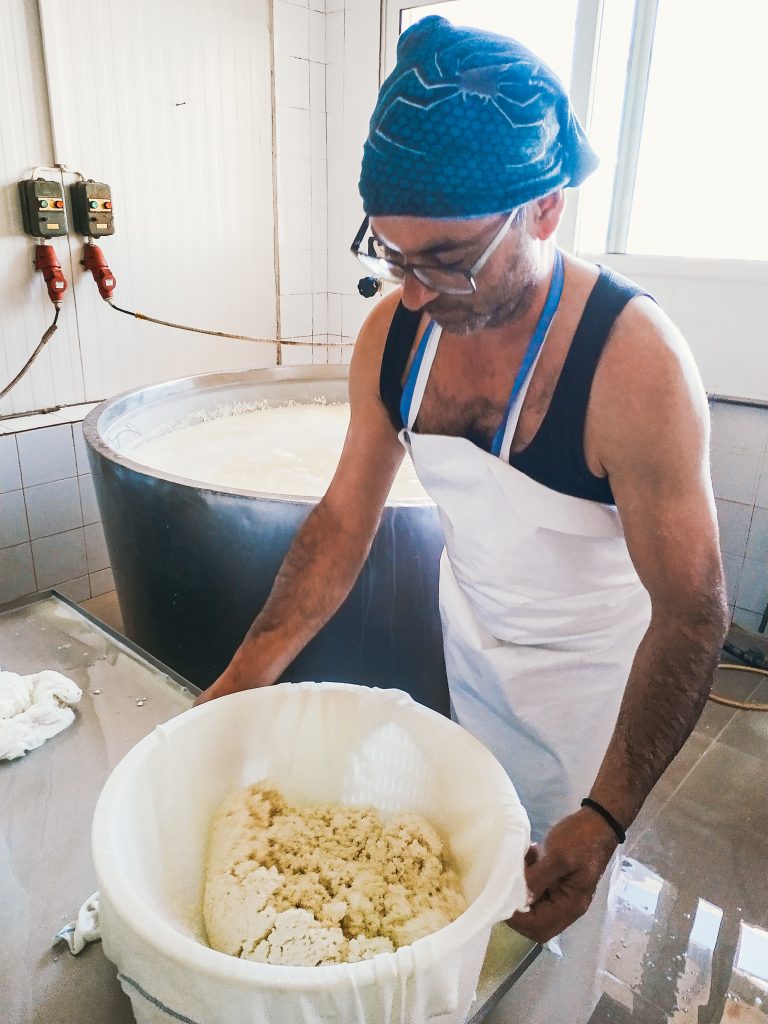 polikala sery z krety bourdakis tirokomio tirokomeio kamisiana sery z milosci do tradycyji