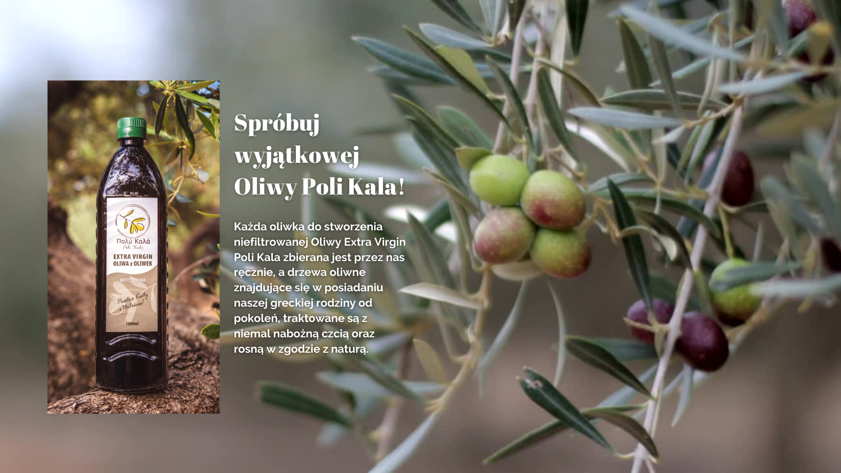 polikala oliwa z krety oliwa z oliwek oliwa z grecji oliwa od rolnika pomidory kreta grecja